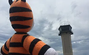 Airport Staff Take Kid's Lost 'Hobbes' Toy On An Epic Adventure