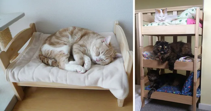 Japanese Cat Owners Turn IKEA Doll Beds Into Adorable Cat Beds