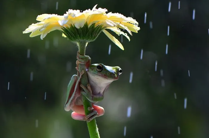 Gimmee Shelter
