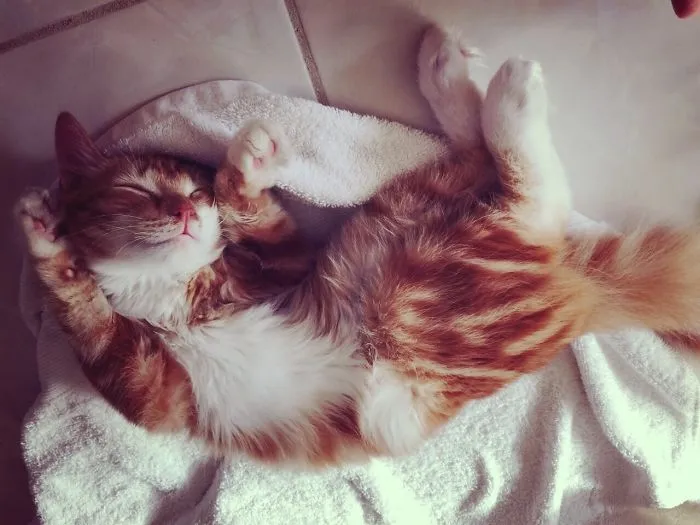 Sleeping Beauty