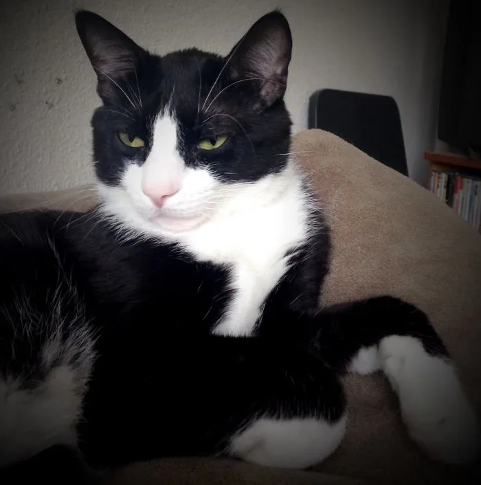 So Very Debonair...