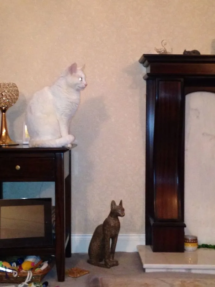 Which Ones The Statue?