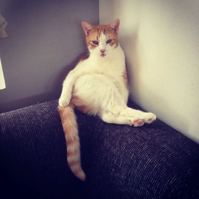 You Got Nothing On Me