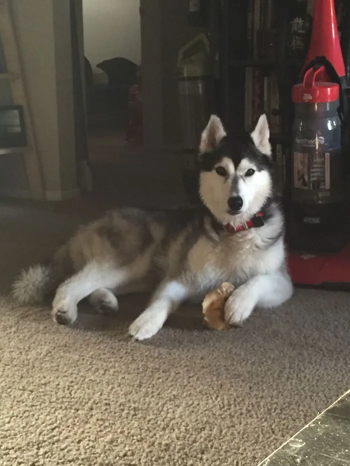 Draw Me Like One Of Your French Girls, Jack