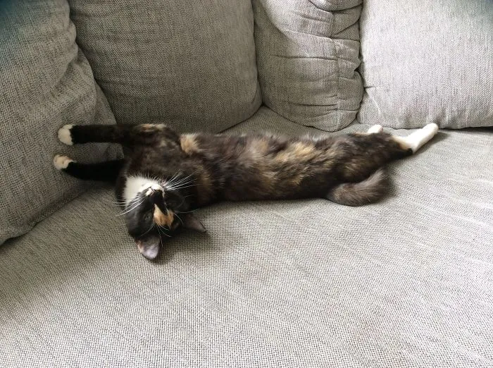 Draw Me Like One Of Your French Girls