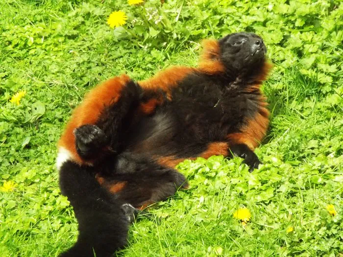 Yep, I'm Gorgeous