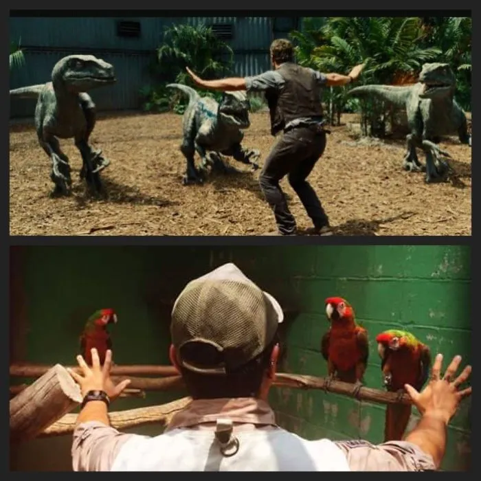 Hilarious Zookeepers Recreate Jurassic World Scene With Animals