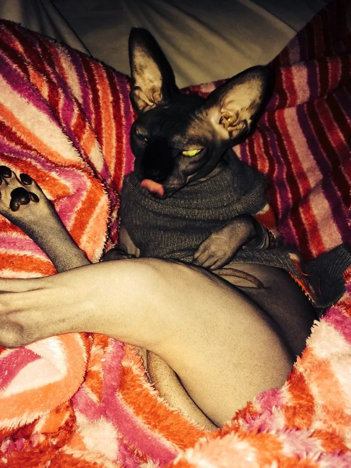 Draw Me Like A Pro!