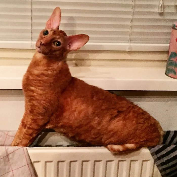 Strike A Pose