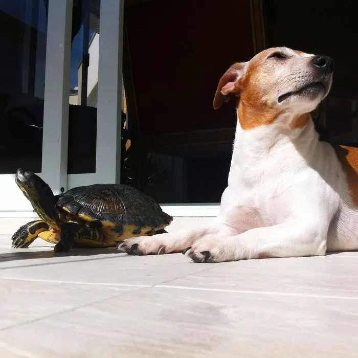 We Love The Sun!