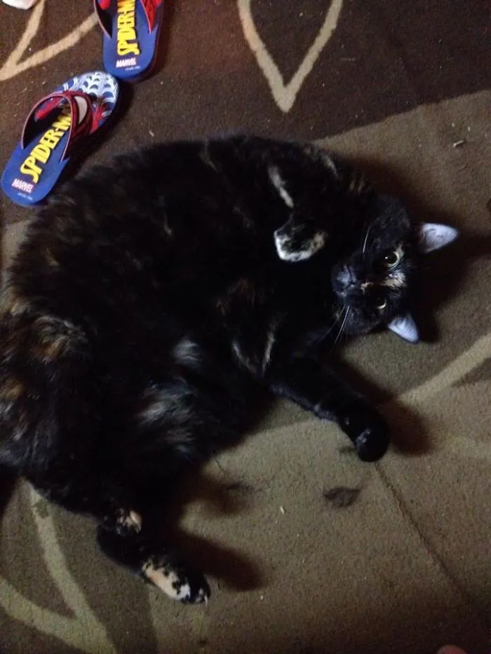 Nephthys In One Of Her More Graceful Moments