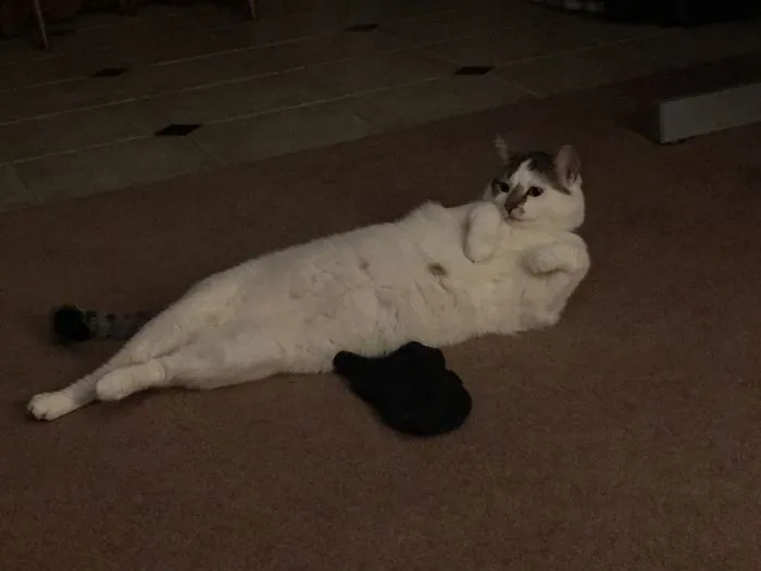 Draw Me Like One Of Your French Girls...