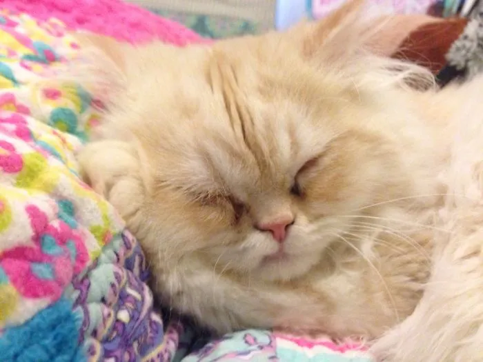 Me Want Hugs