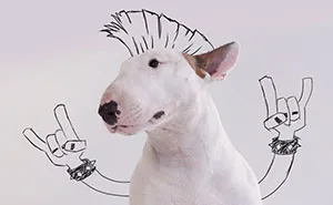 My Wife Left Me With Nothing But A Dog, So I Started This Fun Photo Series