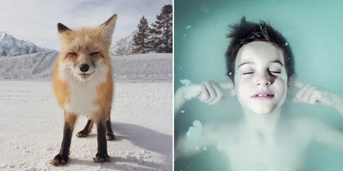 2014 iPhone Photography Award Winners Prove That Amazing Photos Can Be Taken Without An Expensive Camera