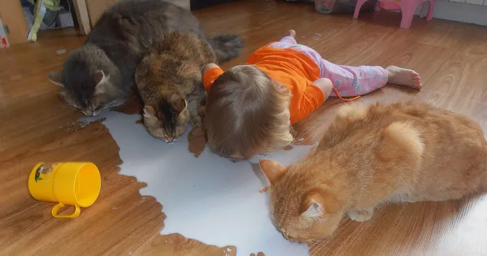 47 Kids That Think They're Animals