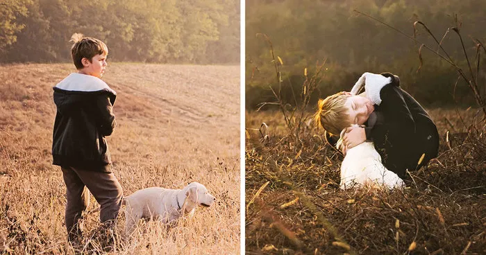 Beautiful Friendship Between My Son And Our Rescued Labrador