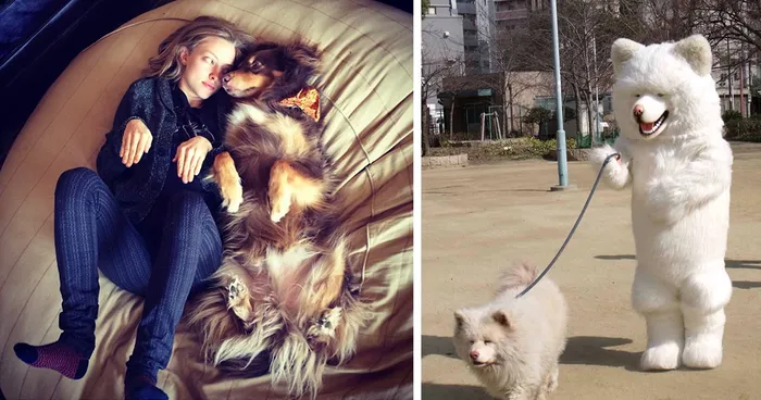 Like Owner, Like Pet (79 Pics)