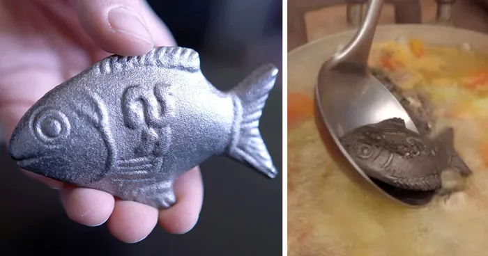 How This Iron Fish Can Make You Strong And Save People's Lives