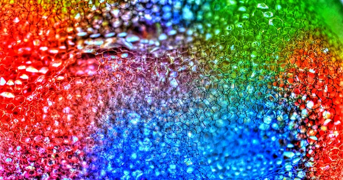 Fun With Macro Photography