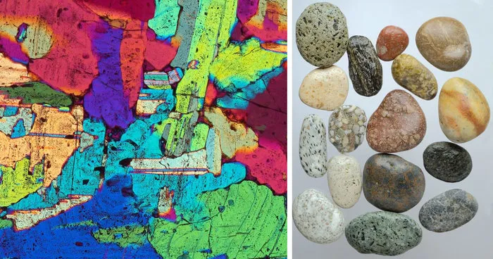 On The Beach: My Microscopic Journey In Southern Spain
