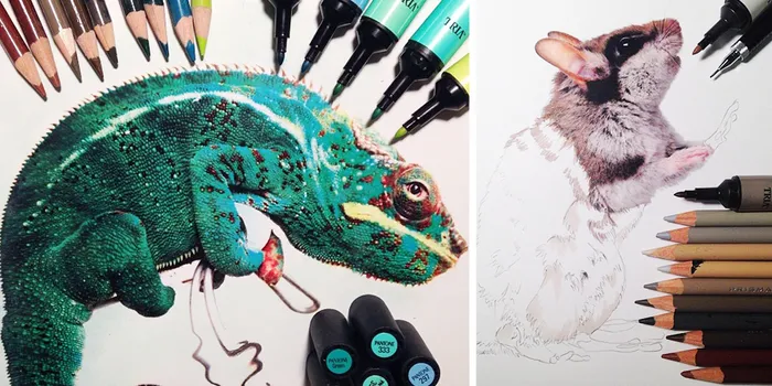 Realistic Animal Drawings Surrounded By The Tools Used To Create Them