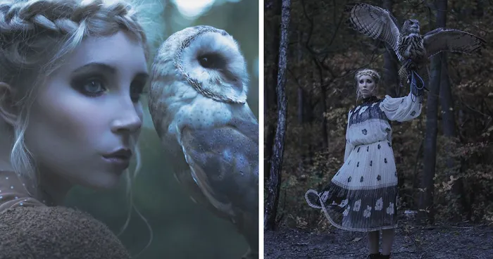 The Owls Are Not What They Seem - Photo Session With Real Birds