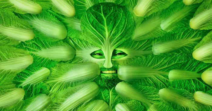 Models Become Their Favorite Foods In Photographic Series