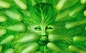 Models Become Their Favorite Foods In Photographic Series