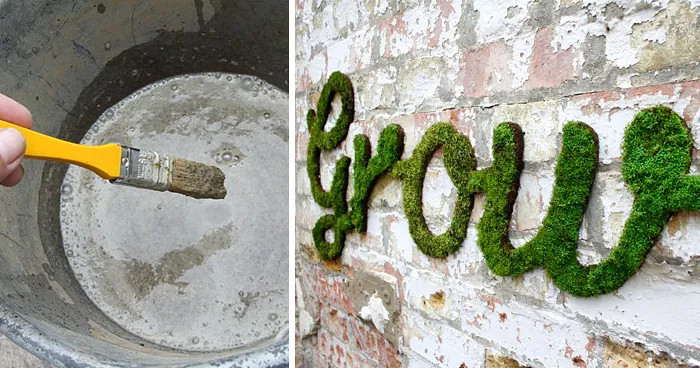 Moss Graffiti: The Coolest DIY Project Ever