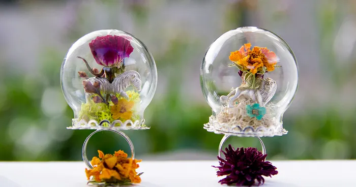 Nature-Scape Jewelry Lets You Carry A Tiny Oasis