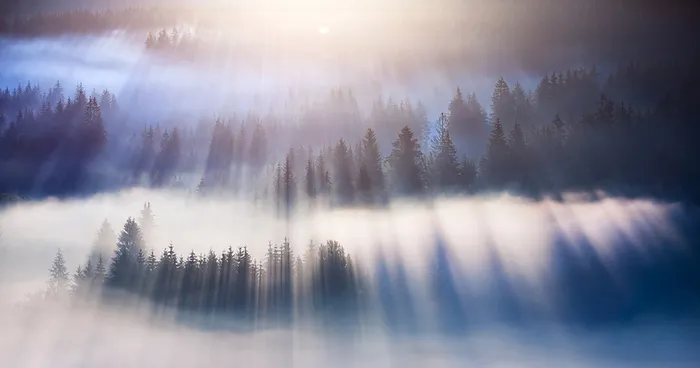My Pictures Of Amazing Rays