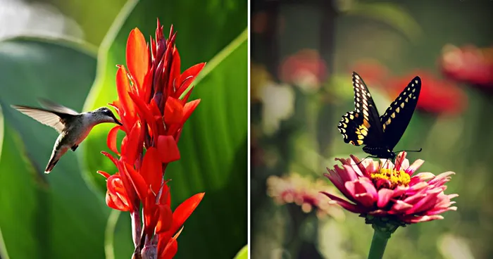 I'm A 15-year-old Amateur Nature Photographer And Here's Some Of My Best Shots