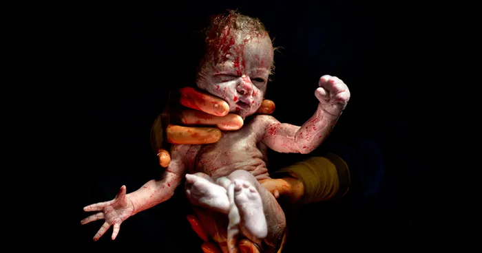 Photographer Takes Portraits Of Babies Seconds After Birth