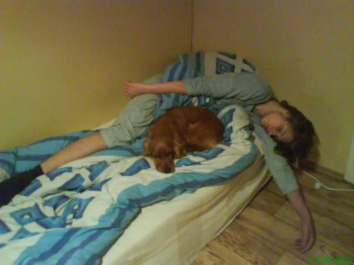 50 Sleepy Dogs Who're Definitely Not Letting You Sleep In Your Bed Tonight
