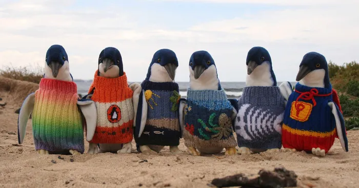 Australia's Oldest Man Knits Tiny Sweaters For Injured Penguins
