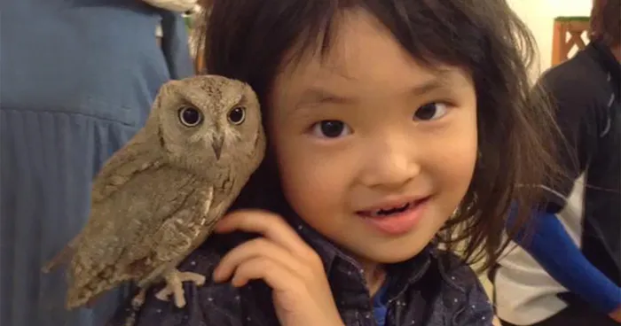 Take A Look Inside One Of Tokyo's Owl Cafes