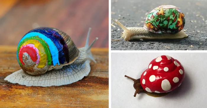 To Prevent Snails From Getting Stepped On, People Pimp Out Their Shells