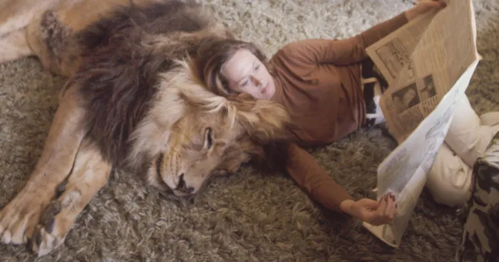This Family Lived With A Real Lion Back In 1971