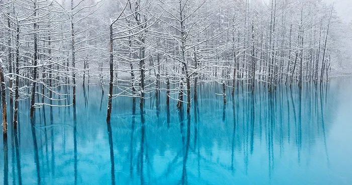 I Live In Hokkaido And Photograph This Magnificent Pond Every Season