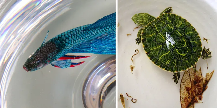 New Realistic 3D Paintings by Keng Lye Painted With Acrylics In Layers Of Resin