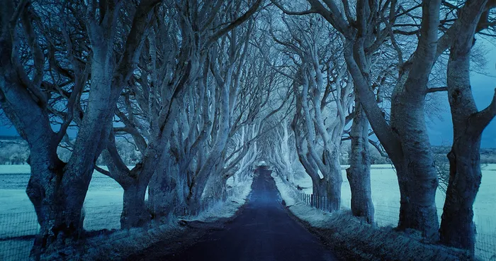 Photographer Captures Dark And Lonely Roads Around The World