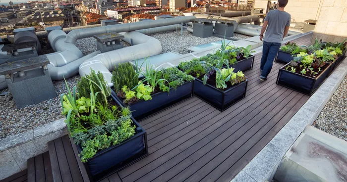 Noocity Growbed Created New Self-Watering Farming System