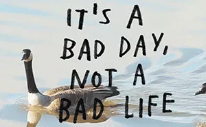Designer Creates Relaxing GIFs That'll Calm You After A Hard Day