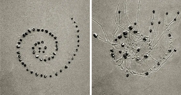 I Collaborated With Snails To Create These Sand Drawings