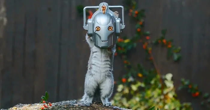 CyberSquirrel: Feeder Turns Squirrel Into Doctor Who's Deadly Enemy