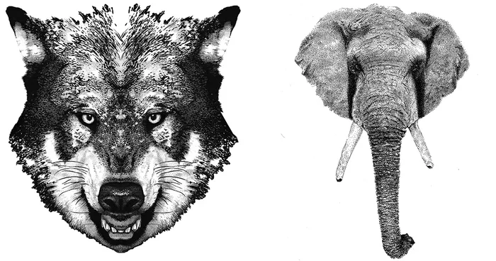 I Make Realistic Ballpoint Pen Paintings