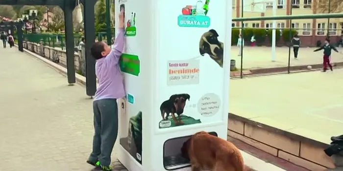 This Vending Machine Takes Bottles And Gives Food To Stray Dogs In Exchange