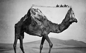 I Create Surreal And Conceptual Black And White Scenes