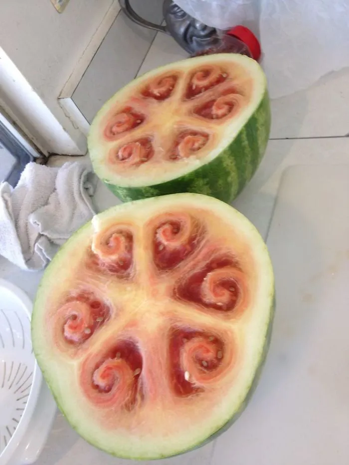 Watermelon